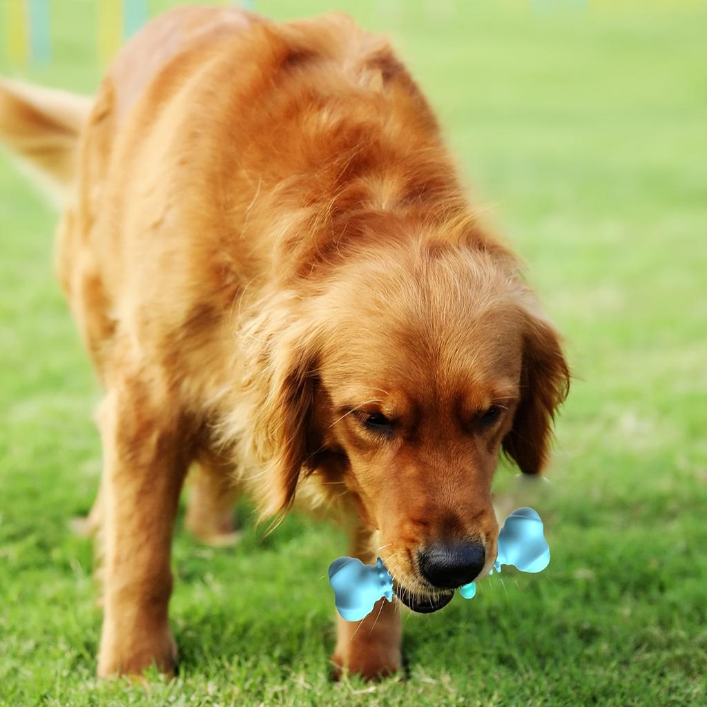 [Unzerstörlicher Hundekauartikel] Langlebiges unzerstörbares Hundekauknochen-Spielzeug | Thermoplastischer Gummi|Zahnreinigung, Training, Langeweilebekämpfung für kleine mittelgroße Hunde
