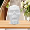 Skull Coffee Mug with Handle White Human Skull Drinking Mug 3D Shaped Novelty Drinkware for Halloween Home Kitchen Decor