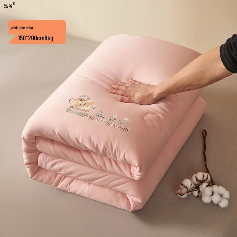 Haoye All-Season Thickened Cotton Quilt