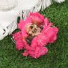 AWAYTR Magnolia Lily Hair Claws Artificial Floral Hair Clips Crab For Women Girl Gift Hair Accessories Valentine Headwear