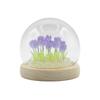 Floral Glow Gartenkuppel – 20 Tulpen – LED USB