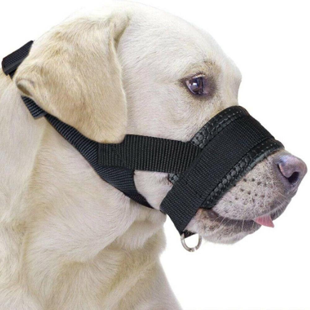 anti chew muzzle