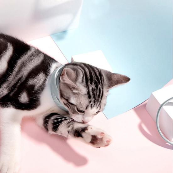 Excellent Pet Neck Circles Quick Release Long Lasting Decorative