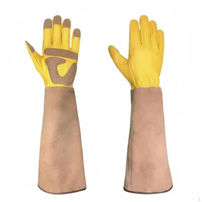 Suministros para la seguridad laboral – Guantes de protección