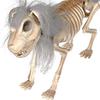 Halloween Skeleton Dog Decoration Posable Standing Dog Skeleton with Movable Joints Plastic Full Body Dog Bone with Mane