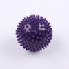 Spiky Massage Ball Set