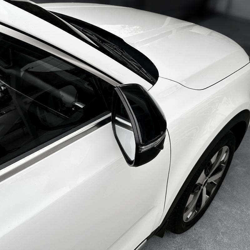 Car Rearview Mirror Cover Equipment Decorative Exterior Trim ABS Material For KIA Telluride     2024 2025LHD RHD
