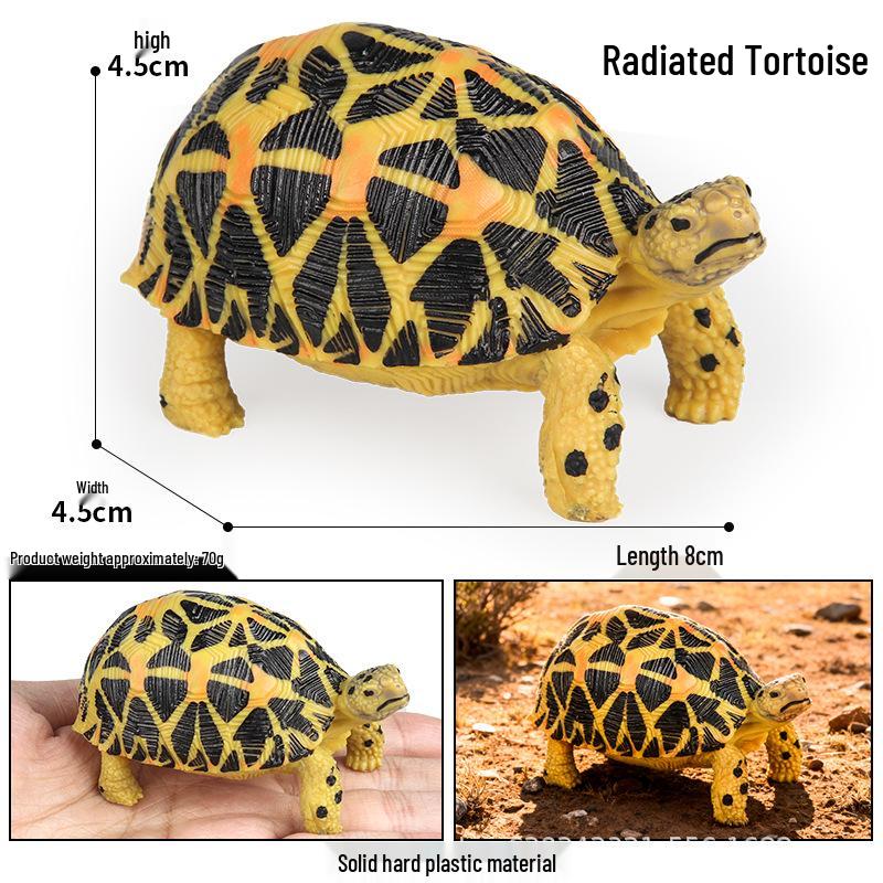 Wild Animal Model: Children's Simulation Turtle Gift Set - Tortoise Variants & Spiderweb Design.