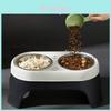 Pet Food Bowls Set With Antispill Elevated Design For Cats And Dogs