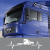 Accesorii de exterior – Autocolante pentru auto