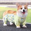 Waterproof Dog Dust-proof Clothing Anti-Slip Breathable Dog Jumpsuit Adjustable High-elasticity Full Coverage Leg Covers