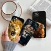 Animal lion Case for Samsung M55 M35 M15 A02 A05S A05 A06 A15 A12 A13 A10 A16 A20 A22 A24 A25 A30 A31 A32 A33 A35 A42 A50