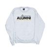 Harry Potter Womens/Ladies Hogwarts Alumni Hufflepuff Sweatshirt