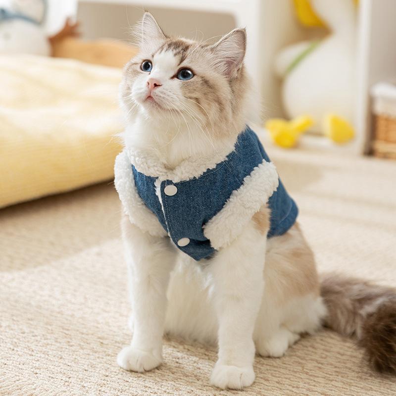 Pet cotton-padded clothes, piled and thickened autumn and winter adult cat kittens, hairless cats, warm two-legged small dog dog cat clothes