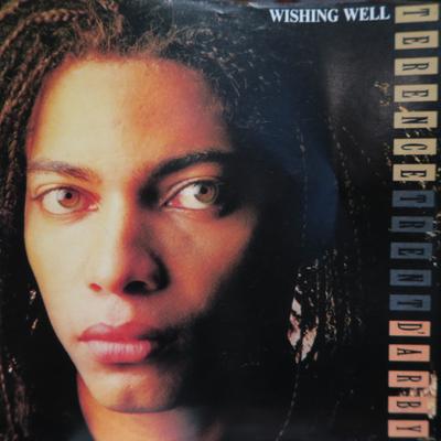 7-Zoll-Schallplatte TERENCE TRENT D'ARBY - Wishing Well IC43024 Columbia 1987 Kanada Dance & Electronica Gebraucht