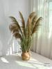 Natural Reed Faux Flowers & Potted Greenery for Home Decor