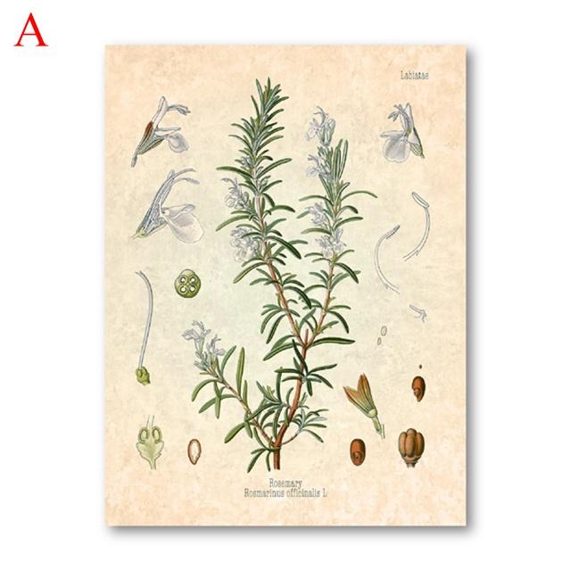 Würzige Kräuter Poster Druck Petersilie Salbei Rosmarin Thymian Kochen Wand Kunst Bild Leinwand Malerei Moderne Küche Home Dekoration