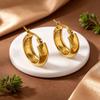 Gold-Plated Titanium Steel C-Shaped Hoop Earrings for Women - Non-Fading, Simple Luxury Jewelry.