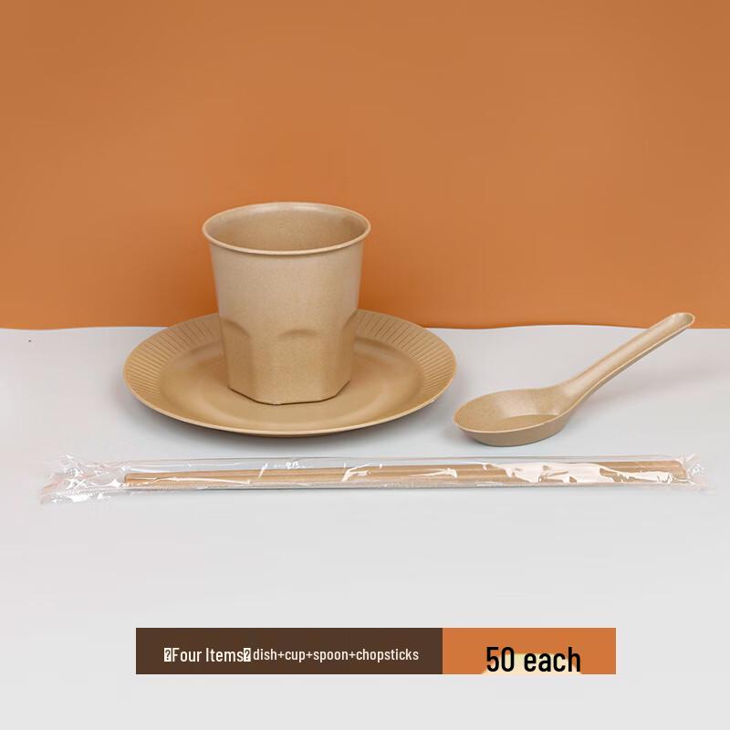 Shixun Disposable Tableware Set