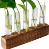 3/5 Röhrchen Wandhängende Hydroponische Pflanzenvermehrung Glasvase mit Holzständer Schreibtisch für Zuhause Büro Pflanzgefäß Garten Dekor