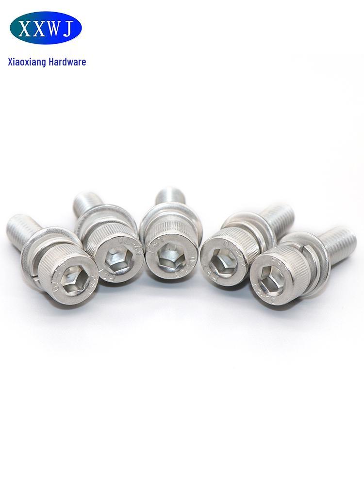 304 Stainless Steel Hex Socket Cap Screw with Washer, Round Head, Sizes M3-M12