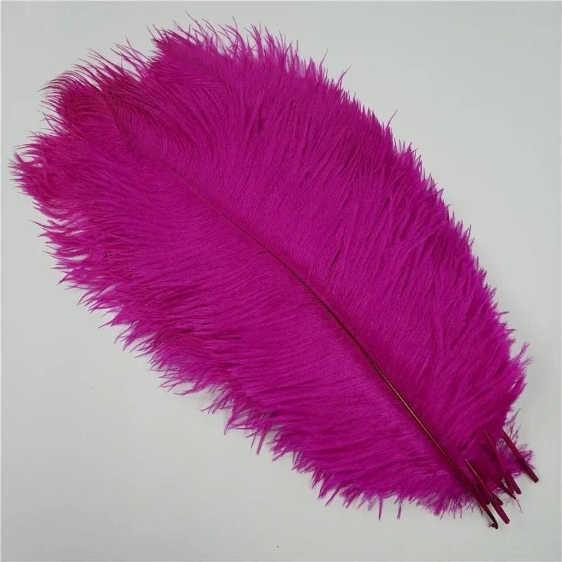 Fai da te 10 pezzi di piume di struzzo colorate da 20-55 cm, adatte per centrotavola nuziali, maschere di carnevale, decorazioni artigianali e wi