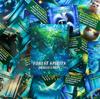 Carte Oracolo degli Spiriti della Foresta Riscopri La Magia Dimenticata Impara di Te Stesso e del Mondo Intorno a Te