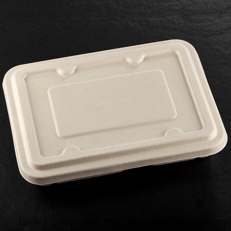 Biodegradable 4-Compartment Disposable Food Containers