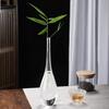 Zen Transparent Glass Vase for Hydroponic Plants and Small Mouth Flower Arrangements