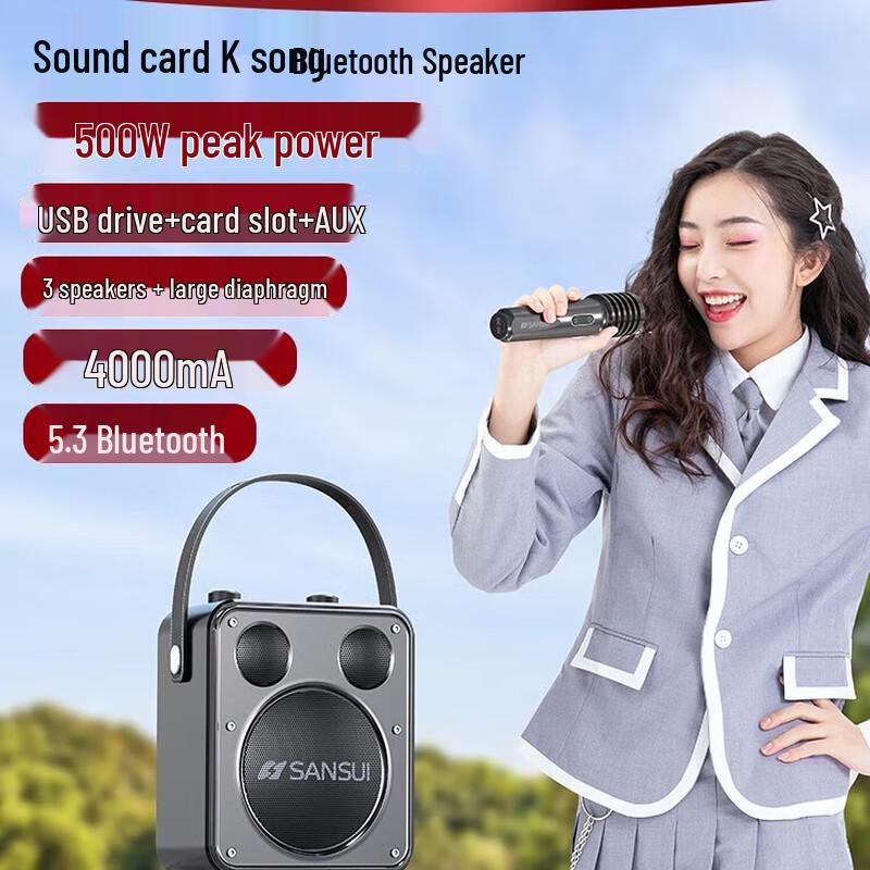 SANSUI D71 Portable K-Song Bluetooth Speaker
