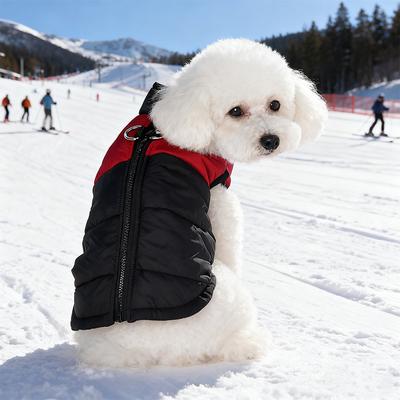 Abbigliamento e scarpe – Cappotti e giacche per cani