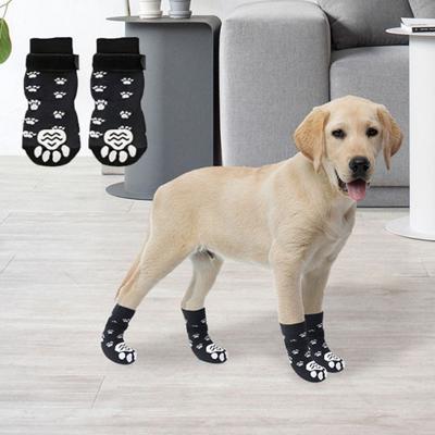 Ropa y calzado – Zapatos para perros