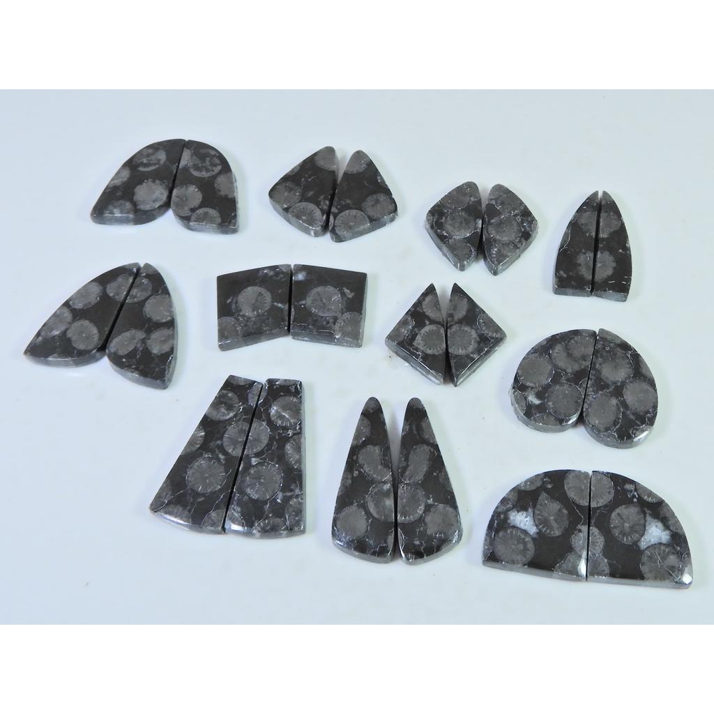 Natural Black Fossil Coral Matched Pair Fancy Cabachon Gemstone 11 Pair Lot C-2681