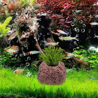 Aquarium Plant Weights Oval Ring Anti-Floating Aquatic Water Plant Fixed Rings For Freshwater Shrimp Pond Pool Cultivation