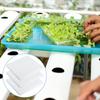 500x Hydroponik-Schwammblock Soillose Hydroponik-Setzlingsschwämme Anzuchttöpfe KulturGemüse Quadratische Setzlingsschwammblöcke