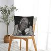 IShowSpeed Funny YouTuber Square Pillow Covers Polyester Sofa  Cushion Case Funny Decorative Pillow Cover 40*40