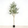 Olive Tree Potted Plant - Indoor Decor Simulation for Living Room