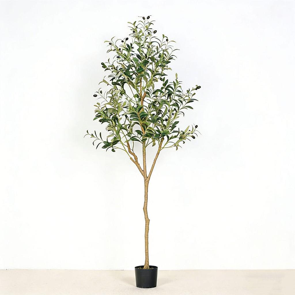 Olive Tree Potted Plant - Indoor Decor Simulation for Living Room