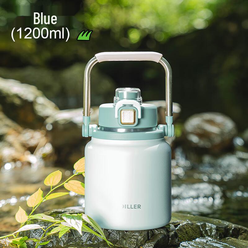 Diller Outdoor Insulated Stainless Steel Straw Water Bottle