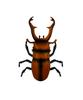 Doyusha IRC Running Insect Series Sawtooth Stag Beetle Electric Infrared Control No. 9996-G