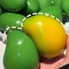 Stress Relief Toy Crunchy Mango Squeeze Ball, Color Changing Fidget with Crisp High-elastic Sound, High Elastic Decompression for Anxiety Relief,