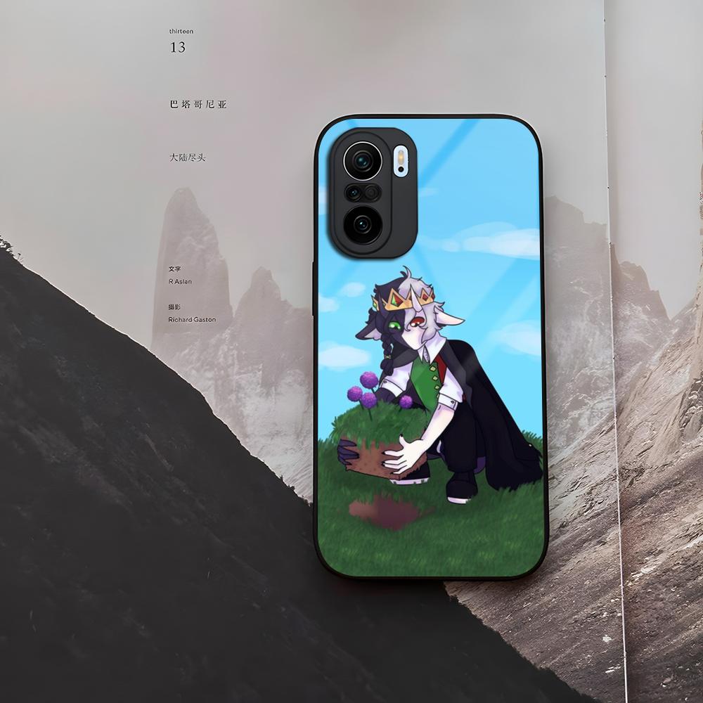 Dream SMP Ranboo Phone Case Tempered Glass For Xiaomi 15 14 12 Lite Pro 13 11t Lite POCO M6 M5 X6 X5 X3 F5 F6 Pro Cover