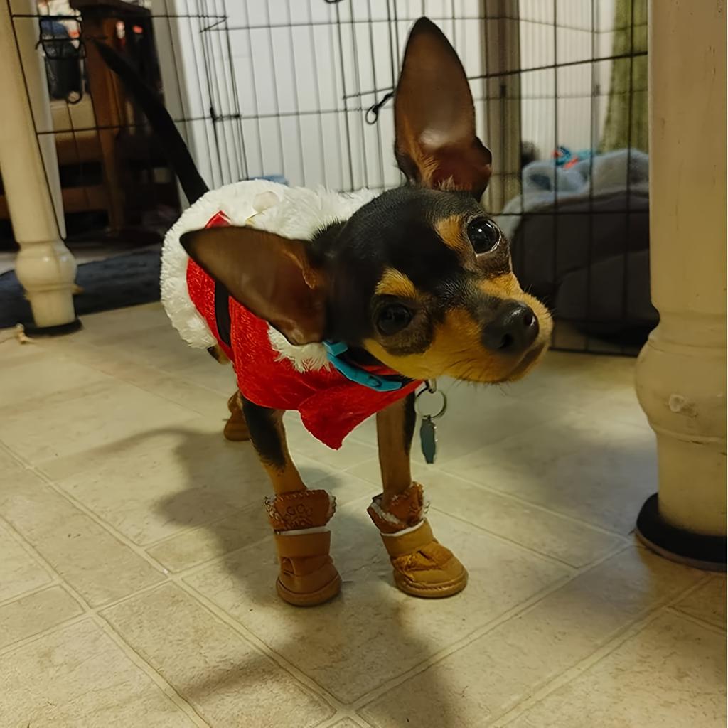Dog Shoes for Dogs, Breathable Dog Boots & Paw Protectors for Hot Pavement Summer Winter Snow, 360° Anti-Slip Dog Booties
