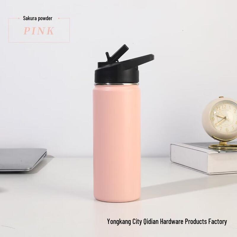 

Portable Stainless Steel Insulated Water Bottle with Straw