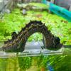 Aquarium Decoration Bridge Garden Decoration Arch Mini Artificial Fish Tank Decoration Aquarium Bridge Ornament PVC Artificial
