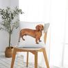 Dachshund Pillow Cases Gift for Animal Dog Lover Cushion Covers Awesome Polyester Decorative Pillowcase for Home 18x18
