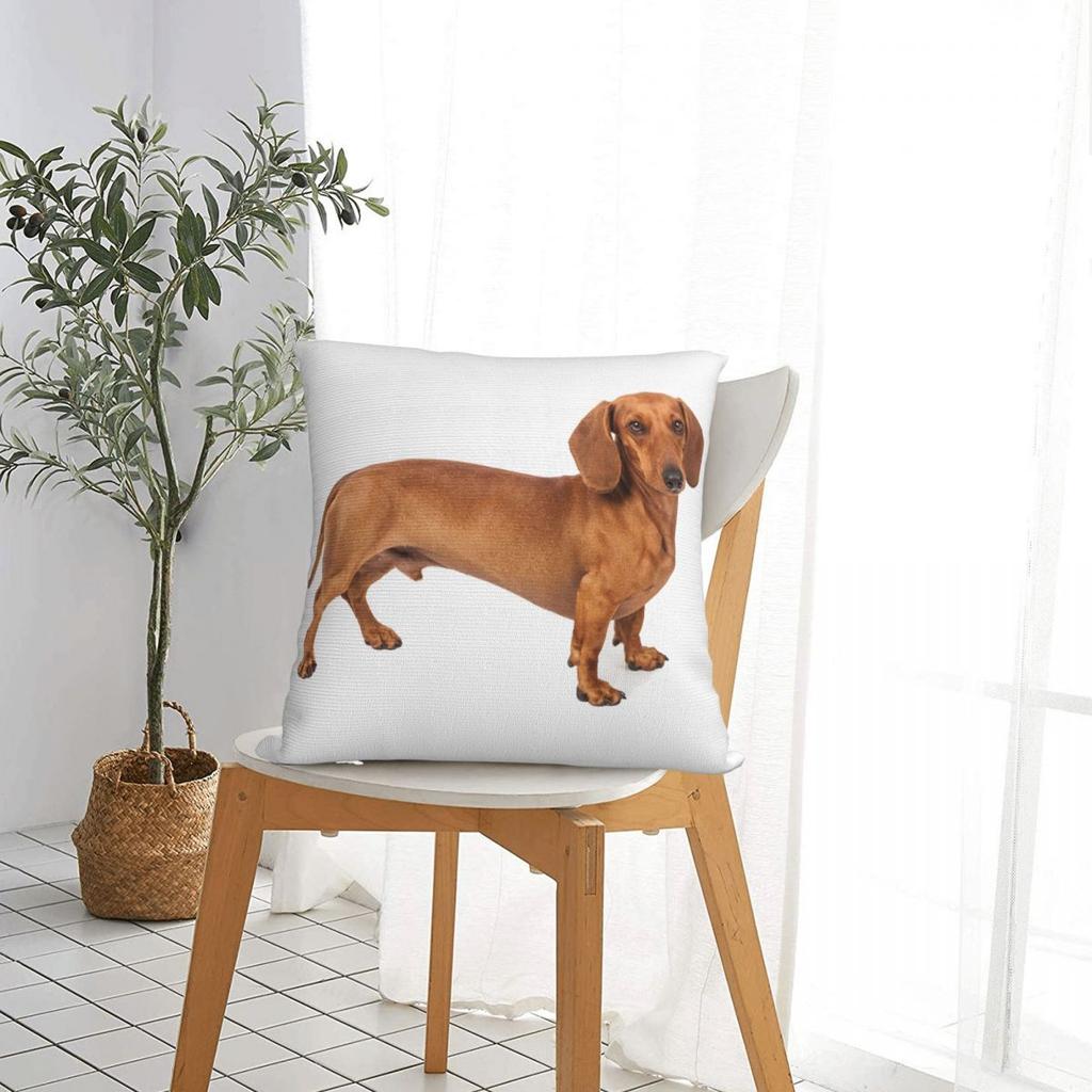 Dachshund Pillow Cases Gift for Animal Dog Lover Cushion Covers Awesome Polyester Decorative Pillowcase for Home 18x18