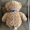 [USED] DAISO Honey Teddy Bear Plush Toy