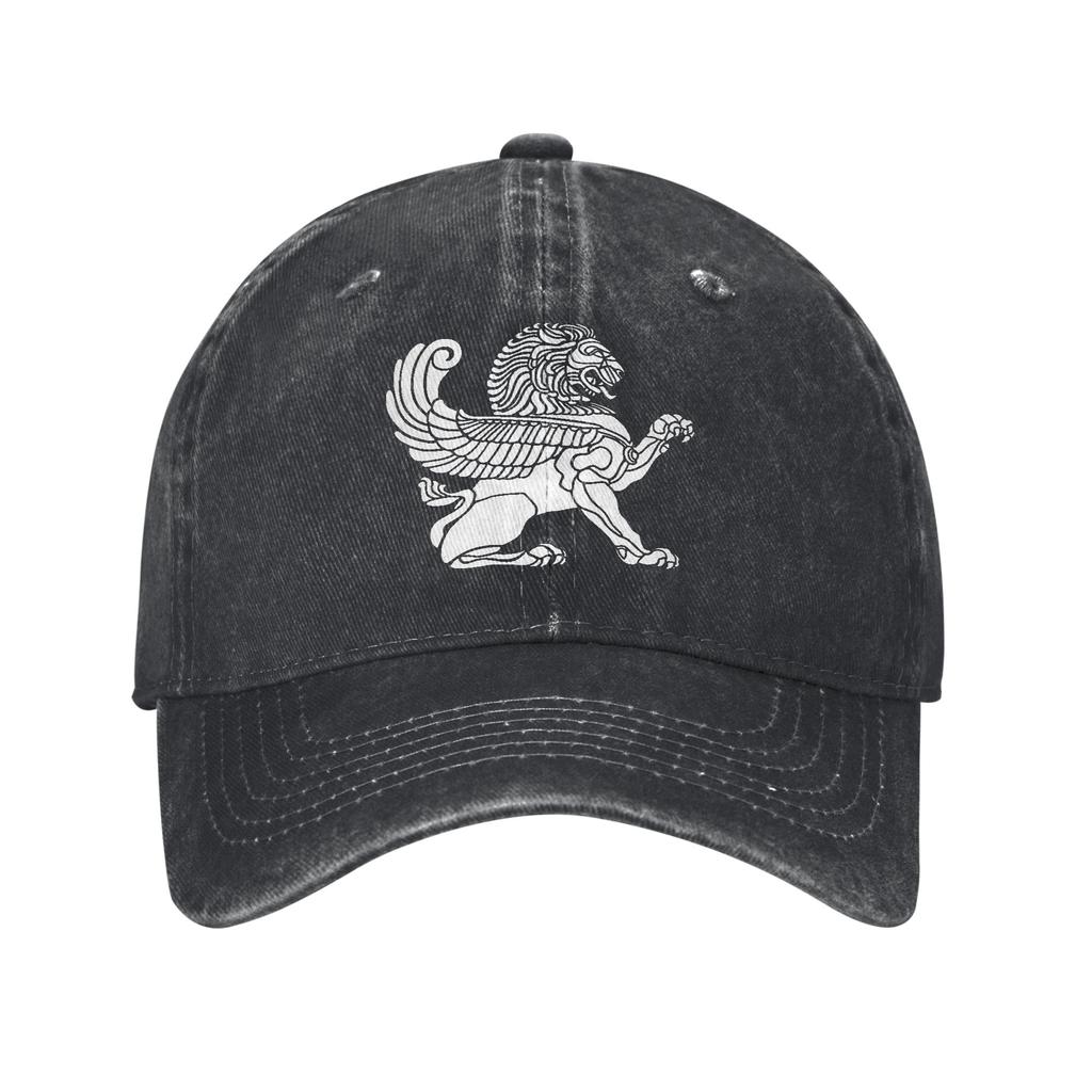 Persian Lion Iranian Baseball Cap Sun Outdoor Gym Sun-Proof Washed Trucker Hat Women Unisex Casual Design Snapback Cap