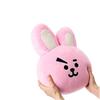 High Quality Bts Cushion With Signature Character Design